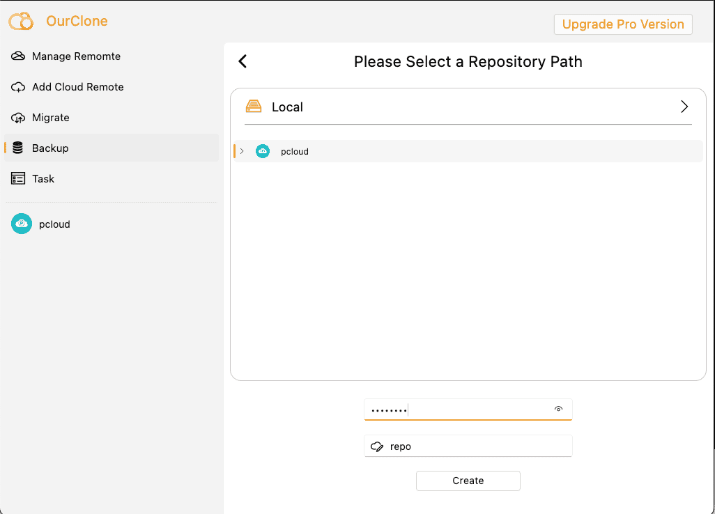 Set Backup Path and Encryption for pCloud