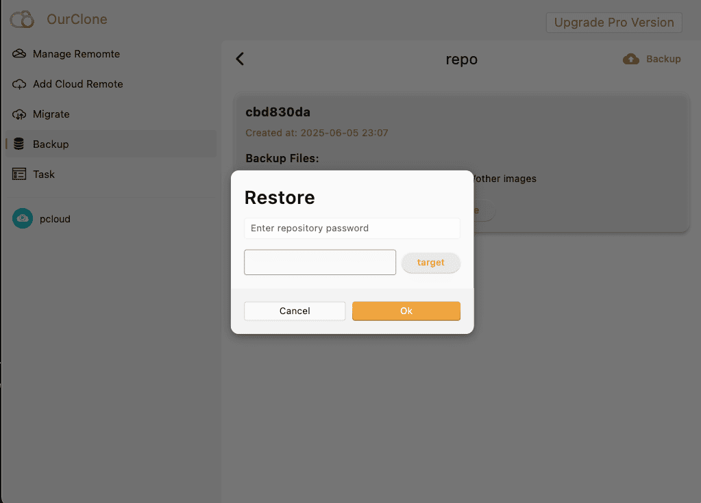 Restore from pCloud Backup in OurClone