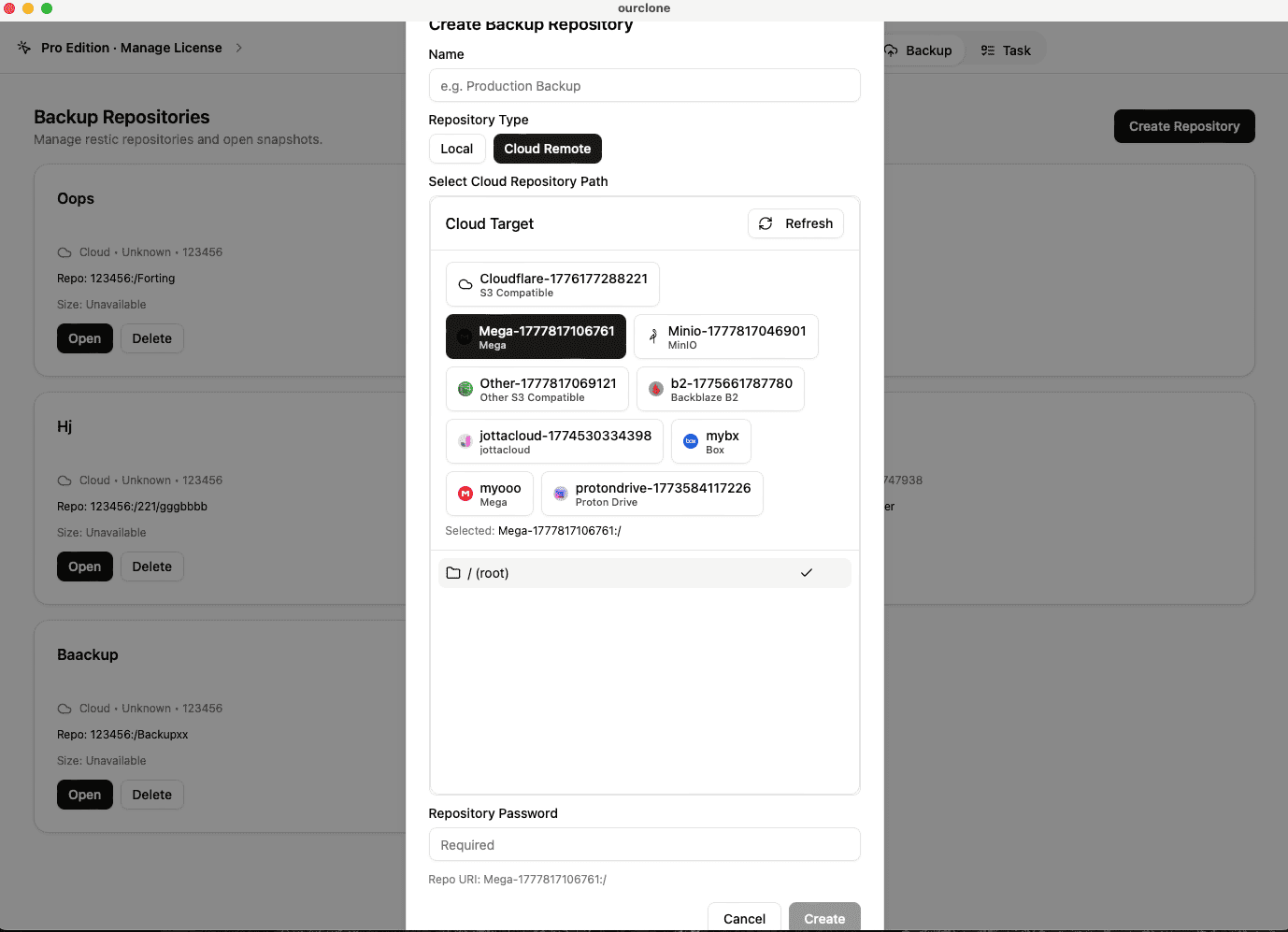 Create a Backup Repository on MEGA S4 in OurClone
